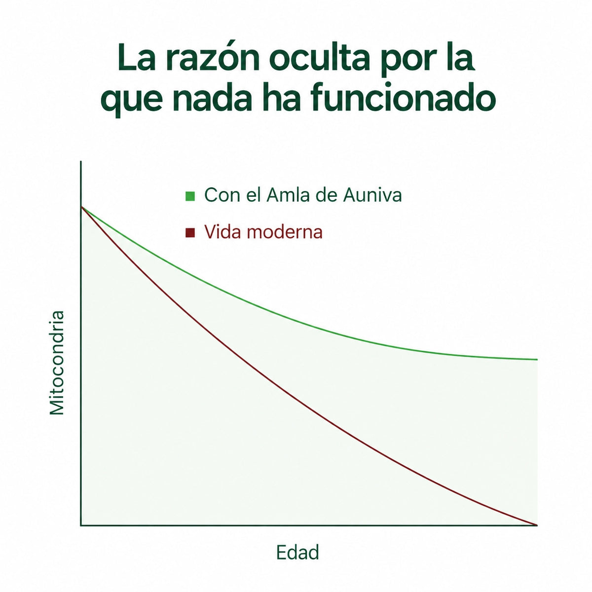 CAPSULAS DE SUPERFRUTA - AMLA