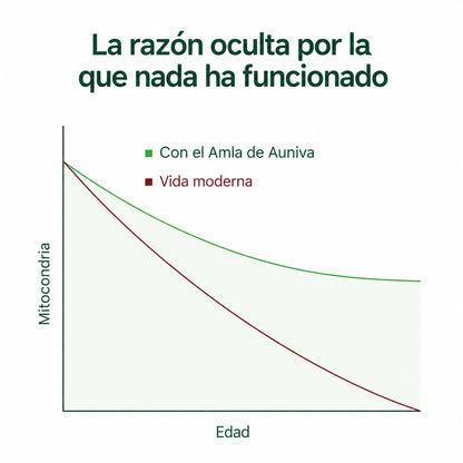 CAPSULAS DE SUPERFRUTA - AMLA